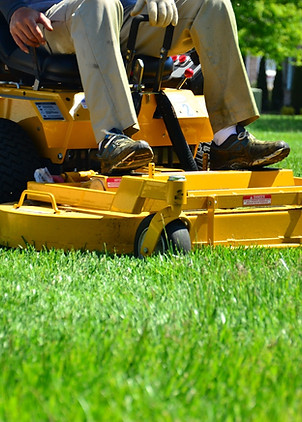 Lawn Trimming