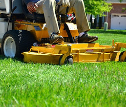 Weed Control