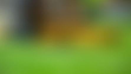 Springfield Institutes Landlord Registry and Escalating Penalties