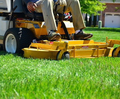 Weed Control