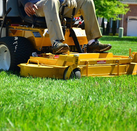 Weed Control