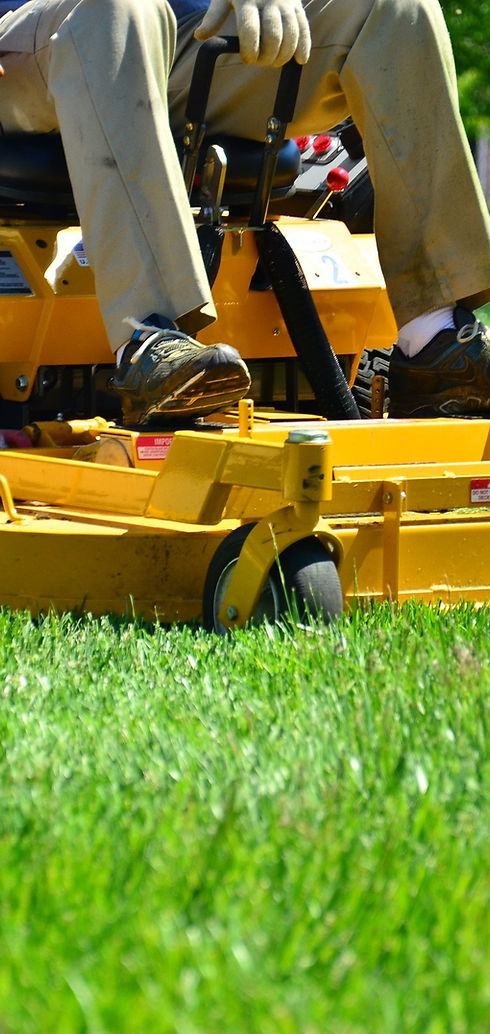Weed Control