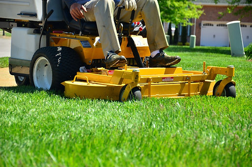 Lawn Mower Action