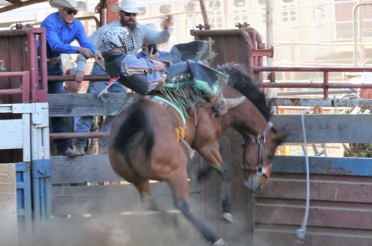 bareback%20horse%2031_edited.jpg