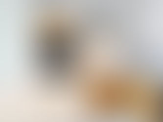 Residential General Contractors in Fort Lauderdale: Transforming Your Home with Group SDVP