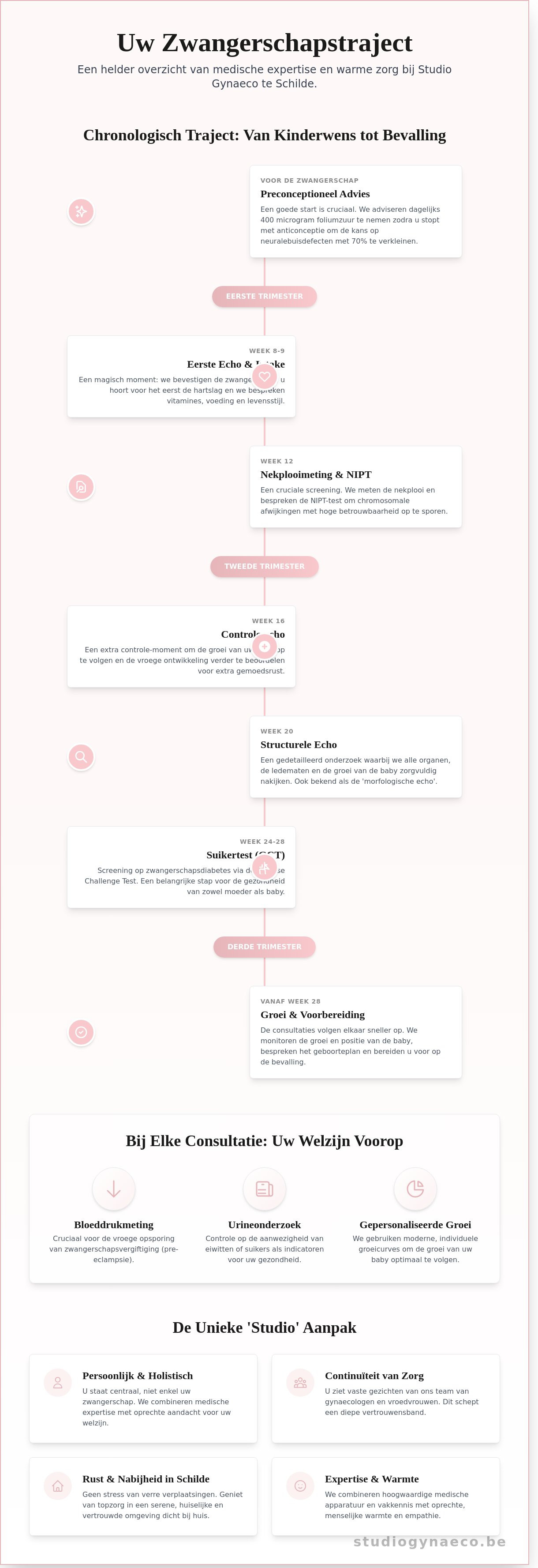 Zwangerschapsopvolging Schilde infographic - visual guide
