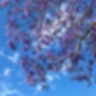 image1.jpeg