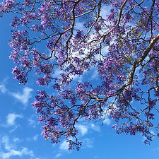 image1.jpeg