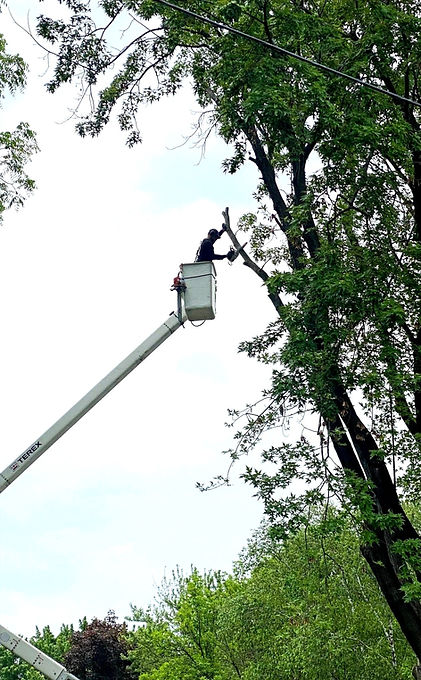 3 andys job b in bucket truck_edited_edited_edited_edited.jpg