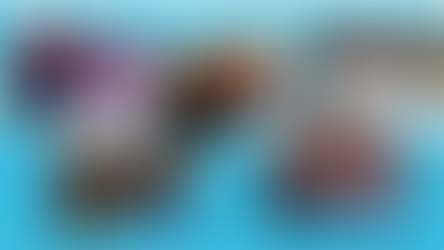 Debates, doughnuts and diplomacy this December