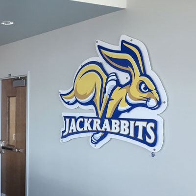 suite-jackrabbit.jpg