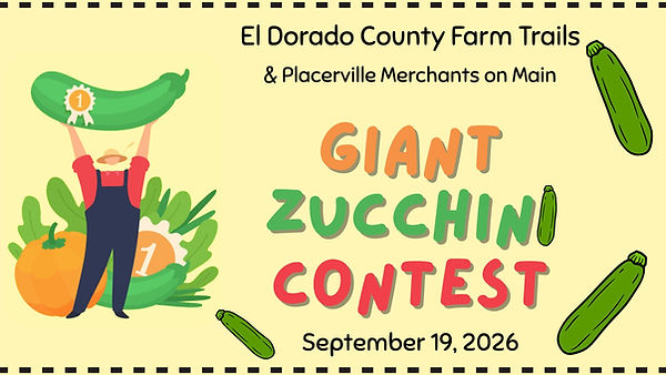 Zucchini 26 (1920 x 1080 px).jpg