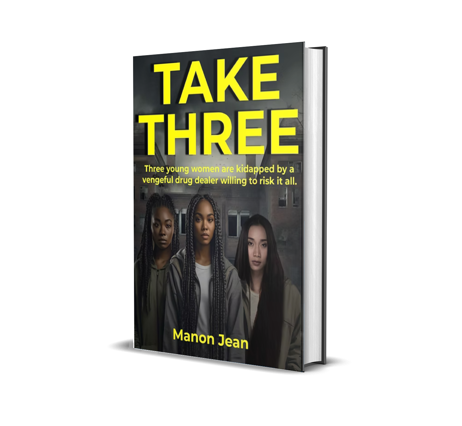Take Three: (Paper back)