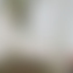 Backyard historic airbnb style wedding dress and vignette