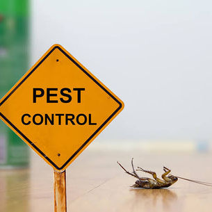 How we help you manage pests in your home.