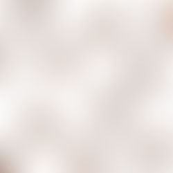 How to Prevent and Get Rid of Cockroaches