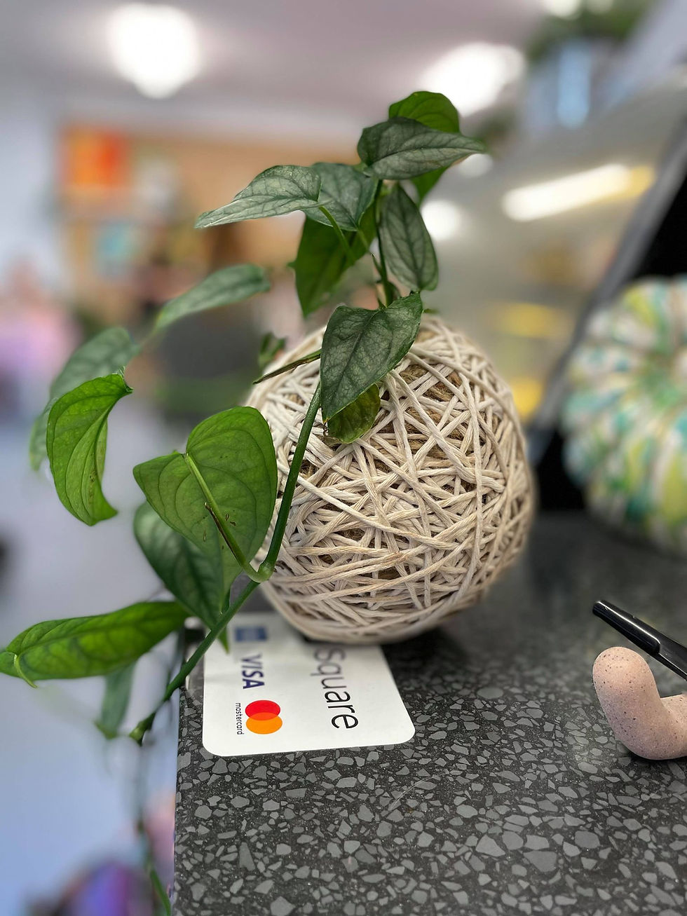 FORTITUDE VALLEY - Learn to make a Kokedama