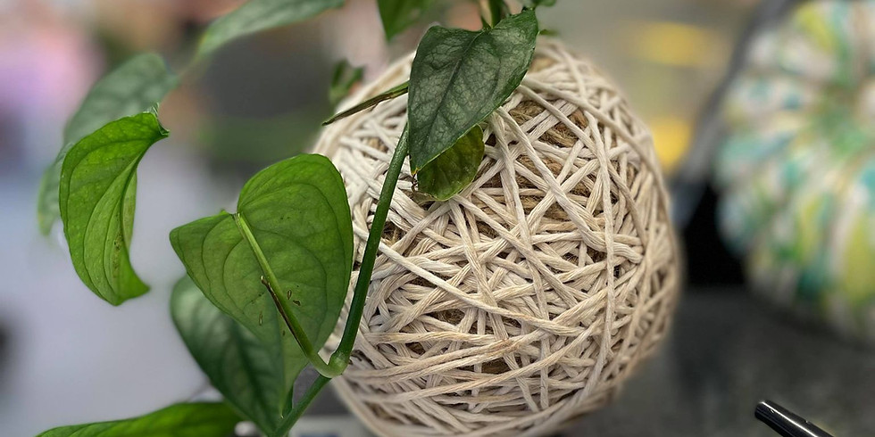 MANGO HILL - Learn to make a Kokedama