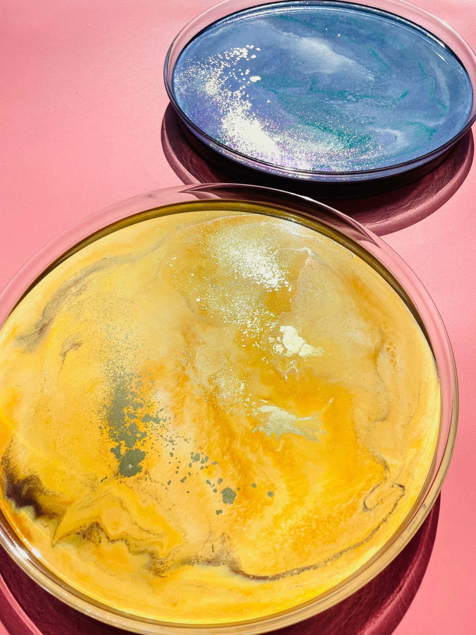 Clear Acrylic resin turn table gold or lavendar