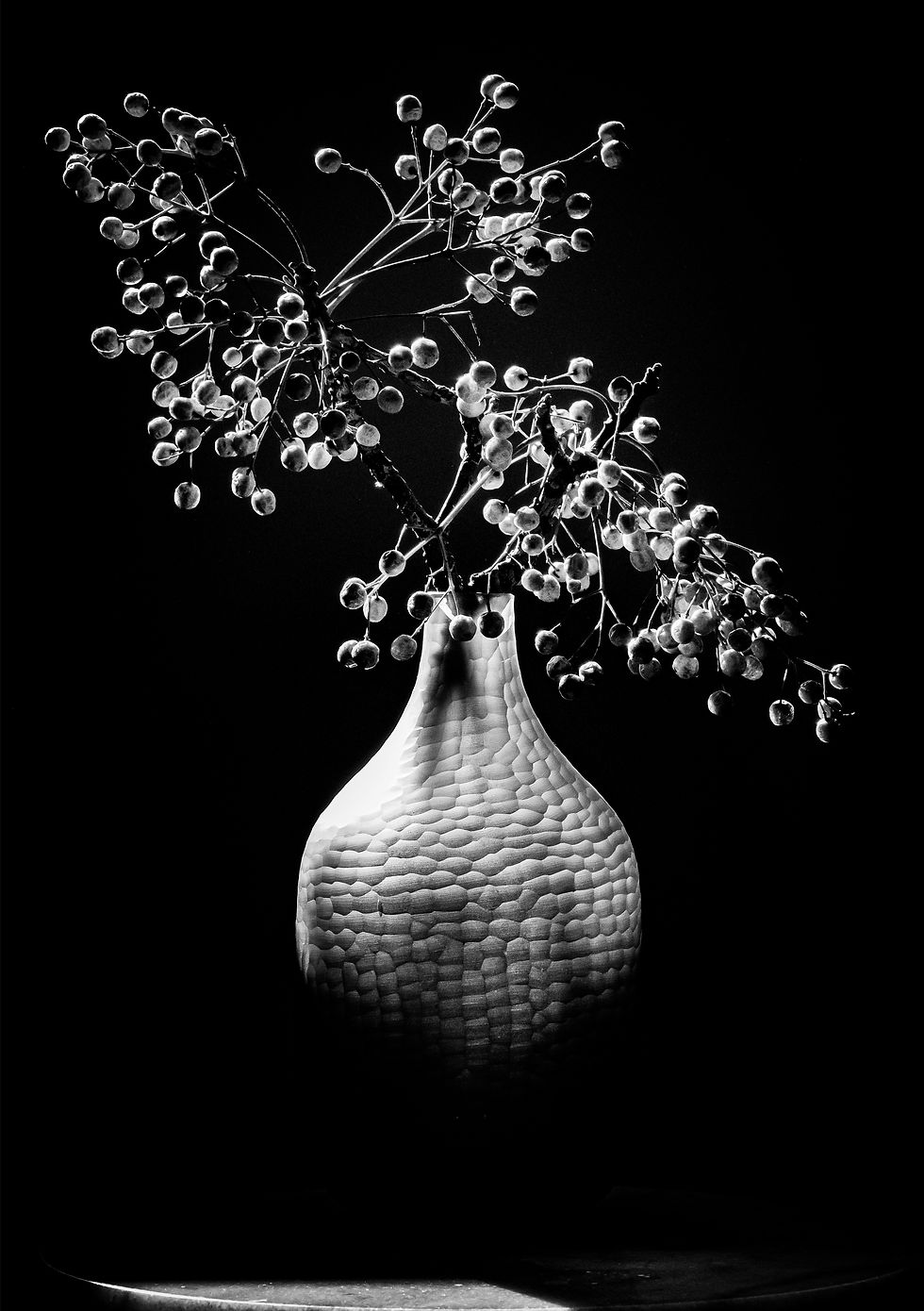 16-3521-BW Creamy Pods-JPG.jpg