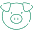 pig.png