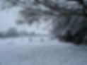 DSC00071.JPG