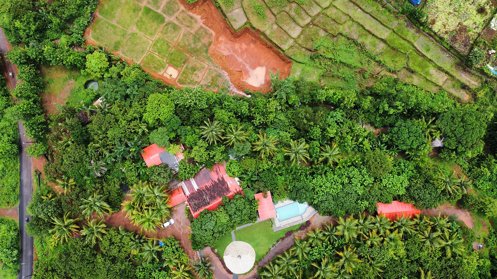 dji_fly_20240717_123640_536_1721200100223_photo_optimized