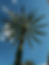 IMG_6964.PNG