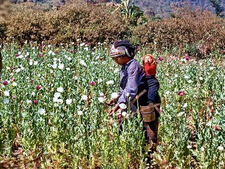 Tribus de las montañas del Sudeste Asiático – los Akha