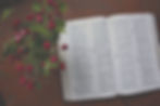 The Bible Is The Word