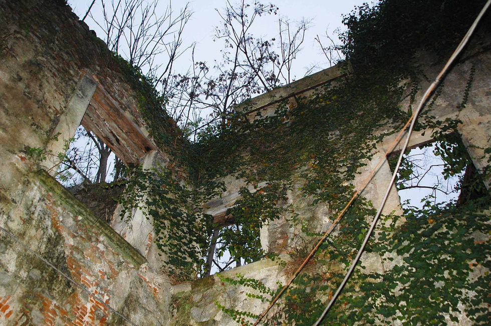 ViaSanTommasodettaglio©AnnalisaOliverio