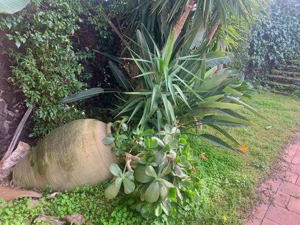 Villa Viagrande San Redina - 3  2.jpeg