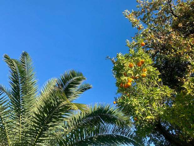 Villa Viagrande San Redina - 16  2.jpeg