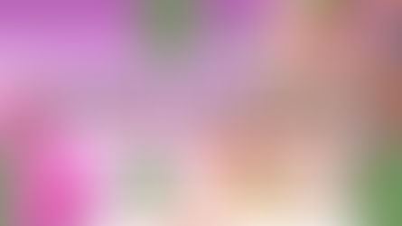 2025年香料与香氛趋势 —— 对乳香油香氛的启示