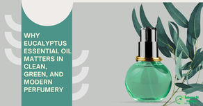 Why Eucalyptus Essential Oil Matters in Clean, Green, and Modern Perfumery