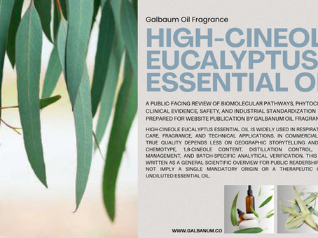 Eukalyptus-ätherisches Öl mit hohem Cineolgehalt