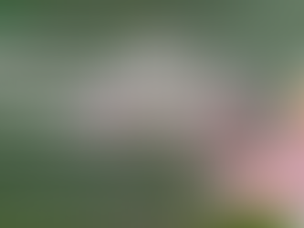 Comment l’eau de rose de Damas apporte de la valeur aux formulations alimentaires, aux boissons et aux produits de soin personnel