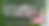 粉色大马士革玫瑰背景,旁有一瓶粉色液体滴管瓶。文字介绍玫瑰水对食品、饮料和个人护理的价值。气氛柔和。