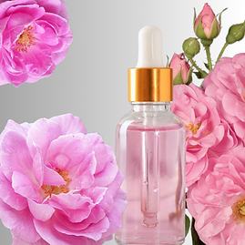 Eau de rose de Damas (hydrolat) – Rosa damascena