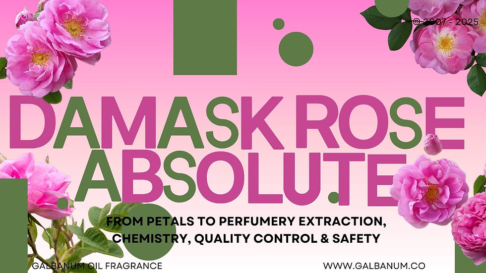 Damask Rose Absolute: From Petals to Perfumery Extraction, Chemistry, Quality Control & Safety