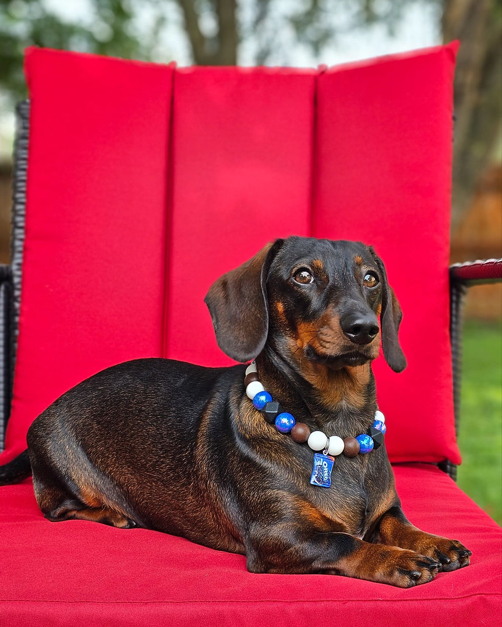 Louis modeling milk n mischief beaded collar