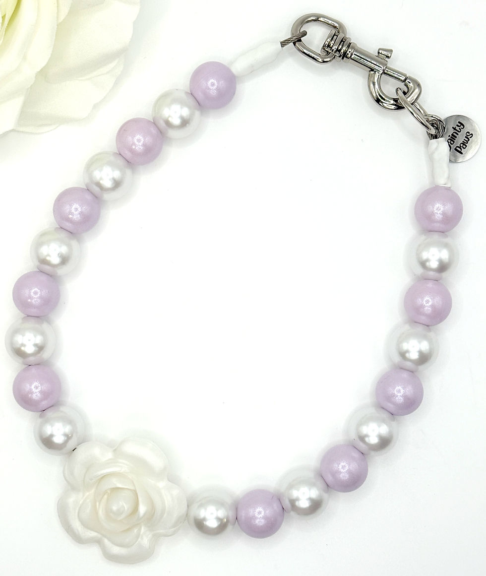 Lilac blooms dog collar