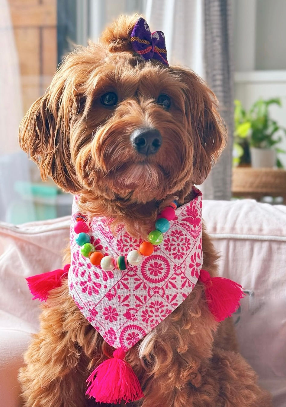 Trixie modeling