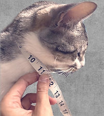 how to measure