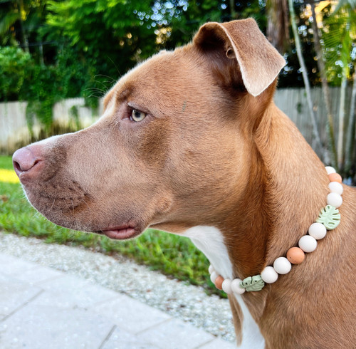 Aloha Beaded Dog Collar Dainty Paws