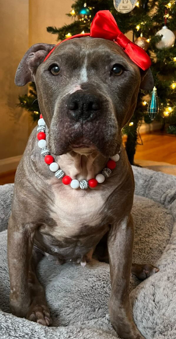 Beaded Holiday Ensemble