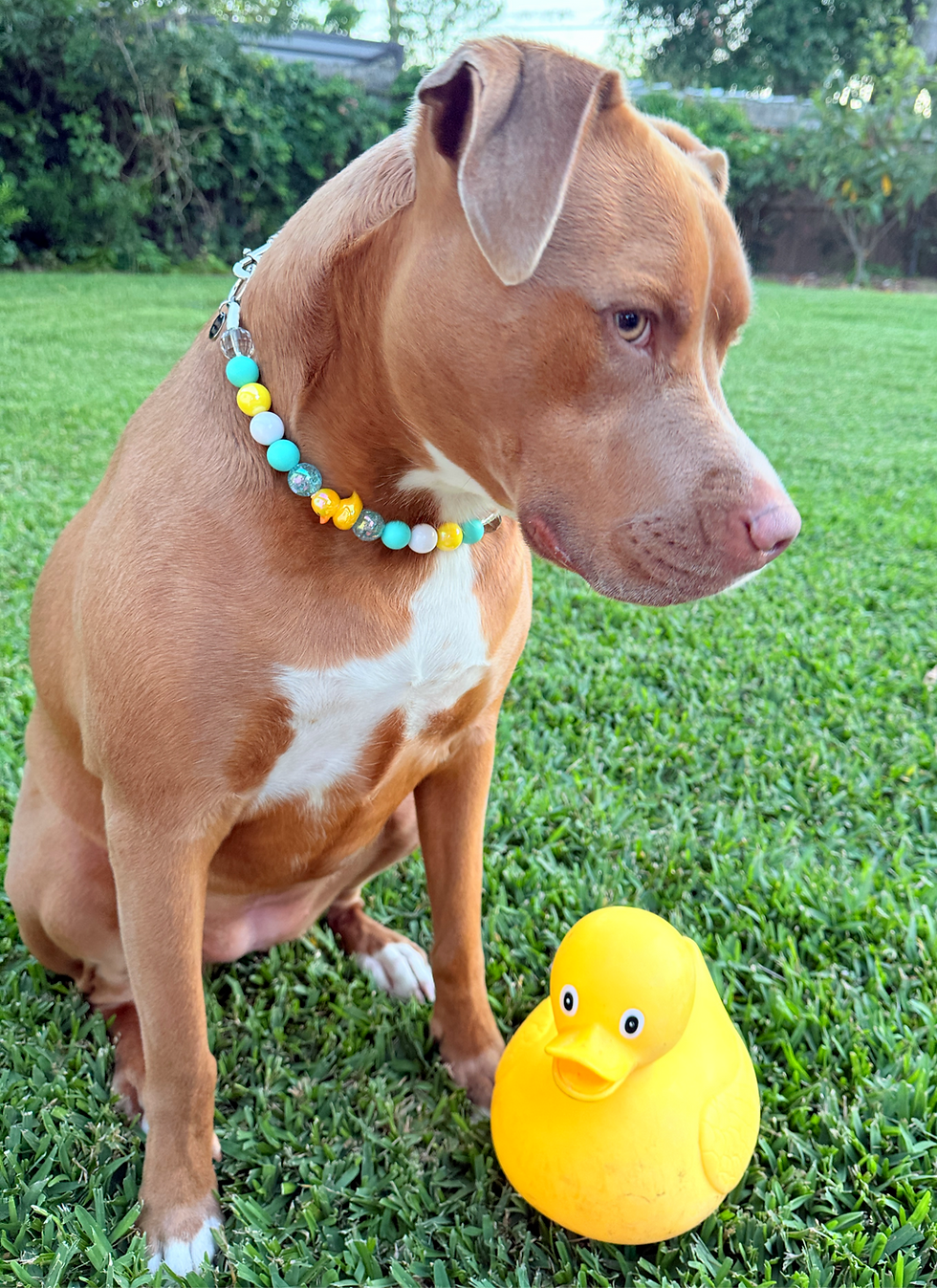 Thumbnail: Bubble Ducky Beaded Dog Collar on maple