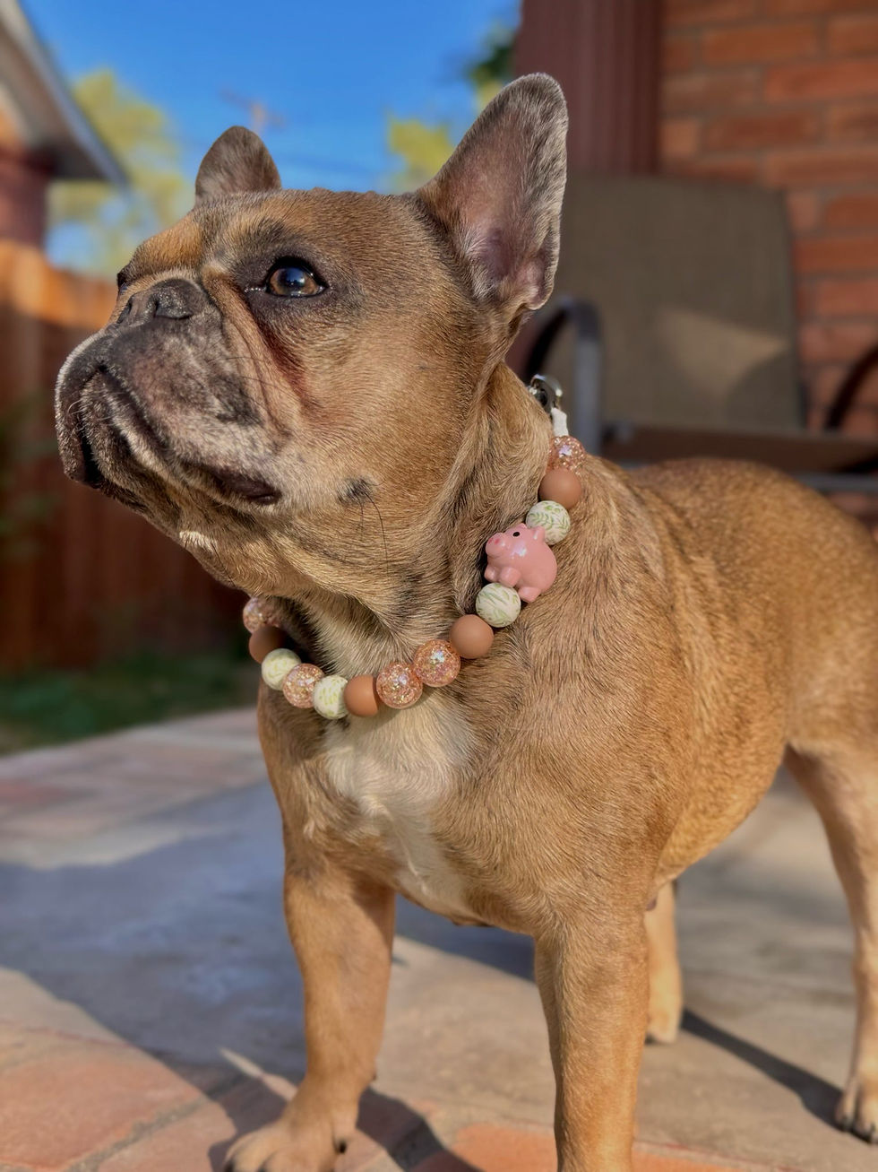 Piggy Chic beaded dog collar on maple