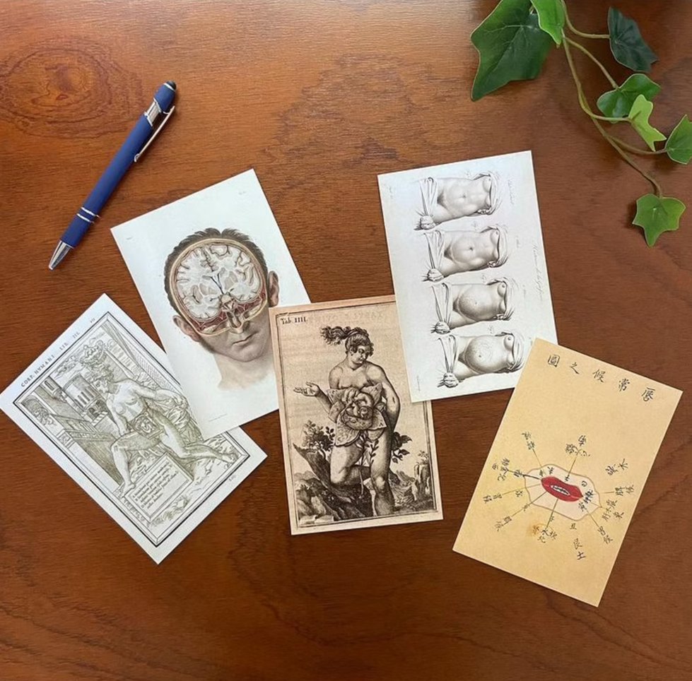 morbid postcards.png