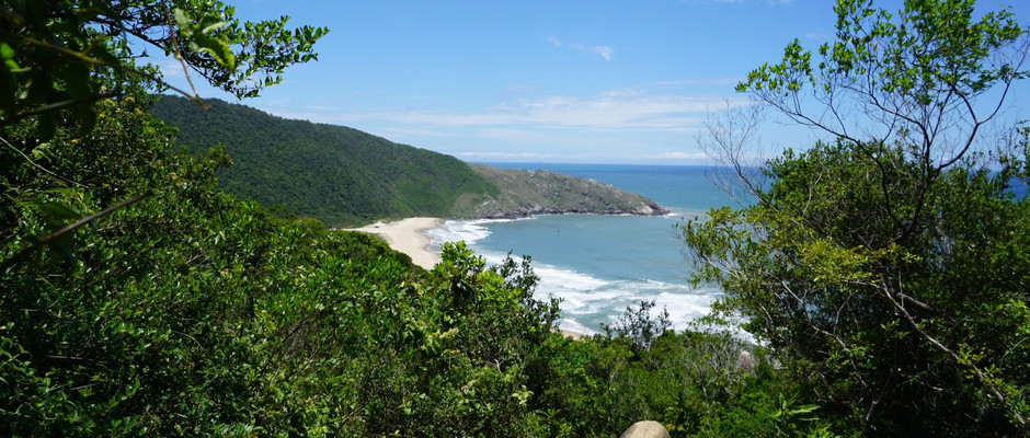 A Digital Nomad's Guide to Living & Working in Florianopolis Brazil